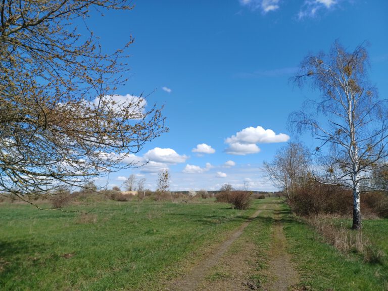 Pflege- und Entwicklungsplan Kathewitz (PEP)