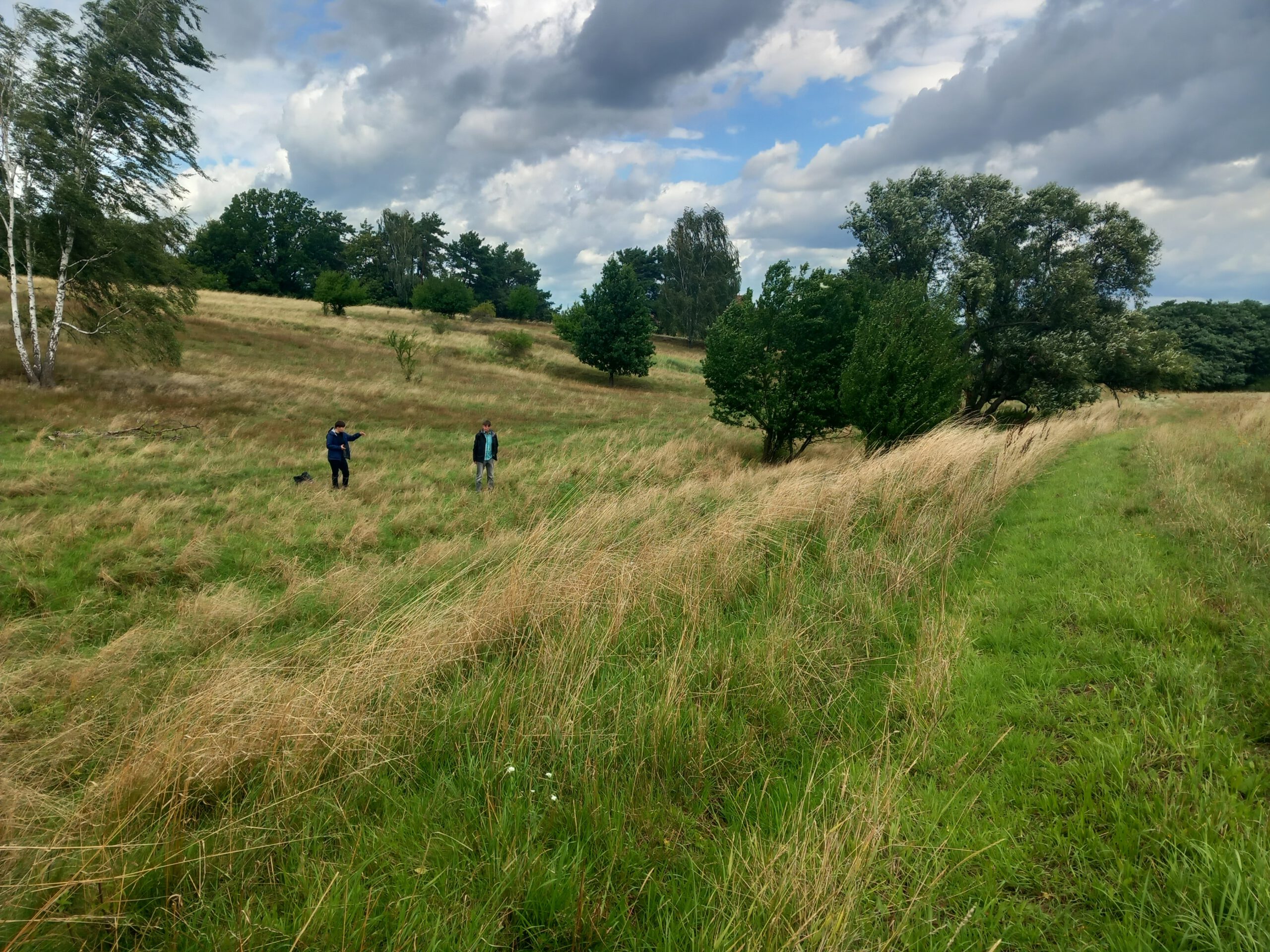 Foto: Zwei Personen stehen auf einer hügeligen Wiese mit hohem Gras und vereinzelten Bäumen unter einem teils bewölkten Himmel.