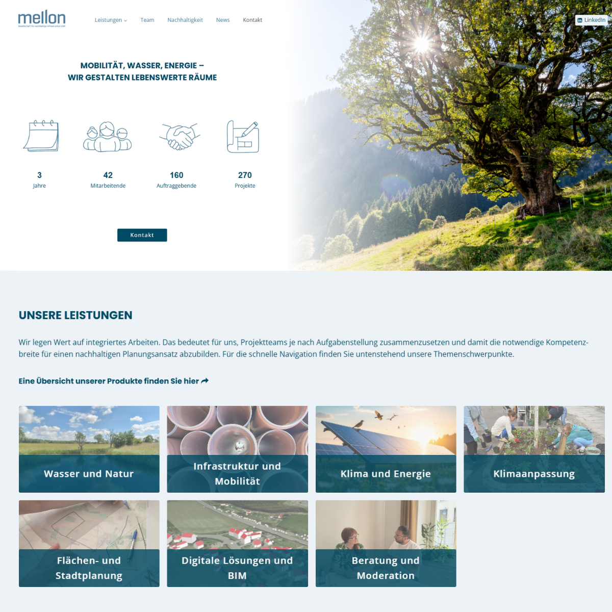 Ein Screenshot der Startseite der neuen Website