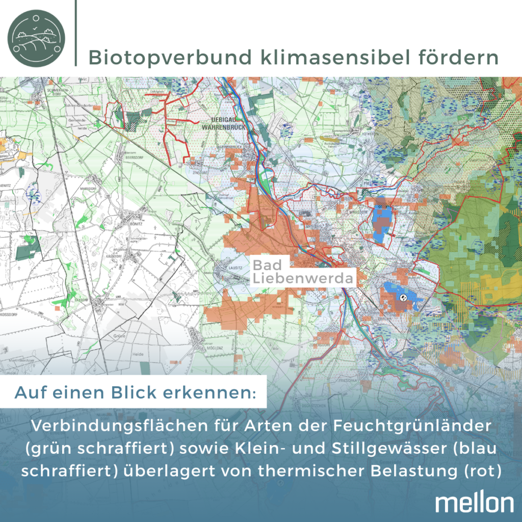 Biotopverbund klimasensibel fördern 