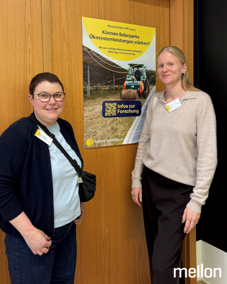 Solarparks und Landwirtschaft – warum wir Mehrfachnutzung brauchen