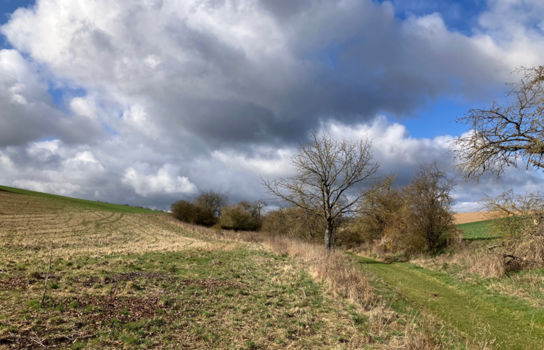 Flurneuordnungsverfahren und Klimaanpassung
